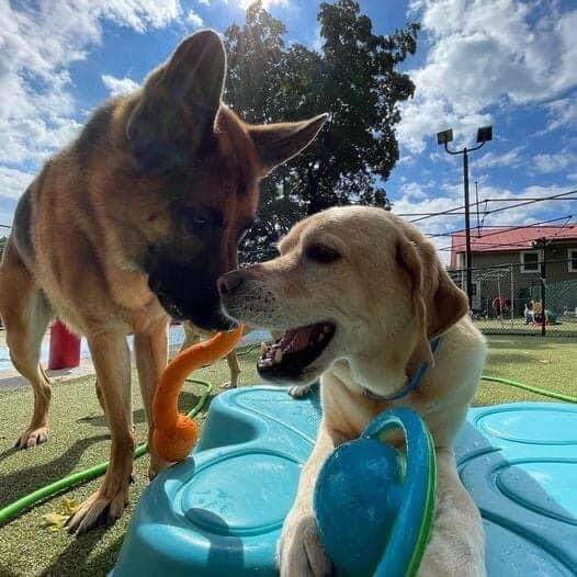 god playing with a toy